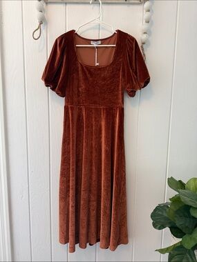 NWT Velvet Puff-Sleeve Midi Dress